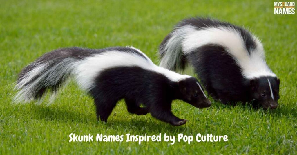 Skunk Names Inspired by Pop Culture