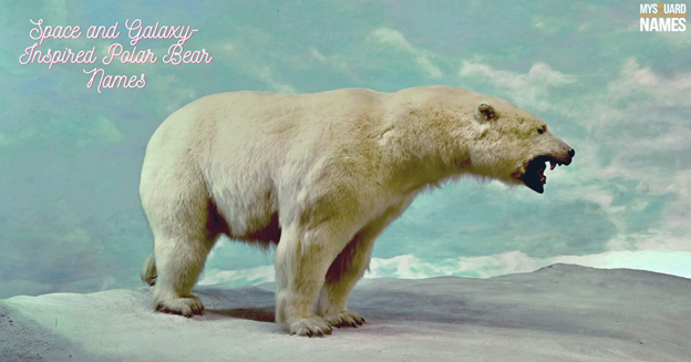 Space and Galaxy-Inspired Polar Bear Names