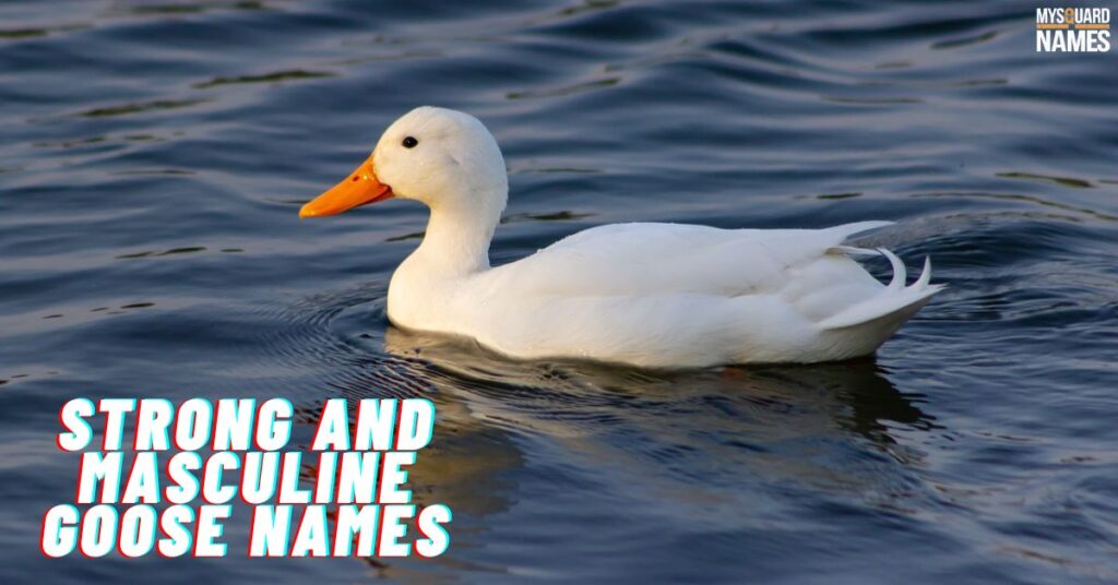 Strong and Masculine Goose Names