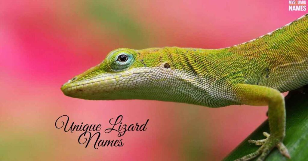 Unique Lizard Names