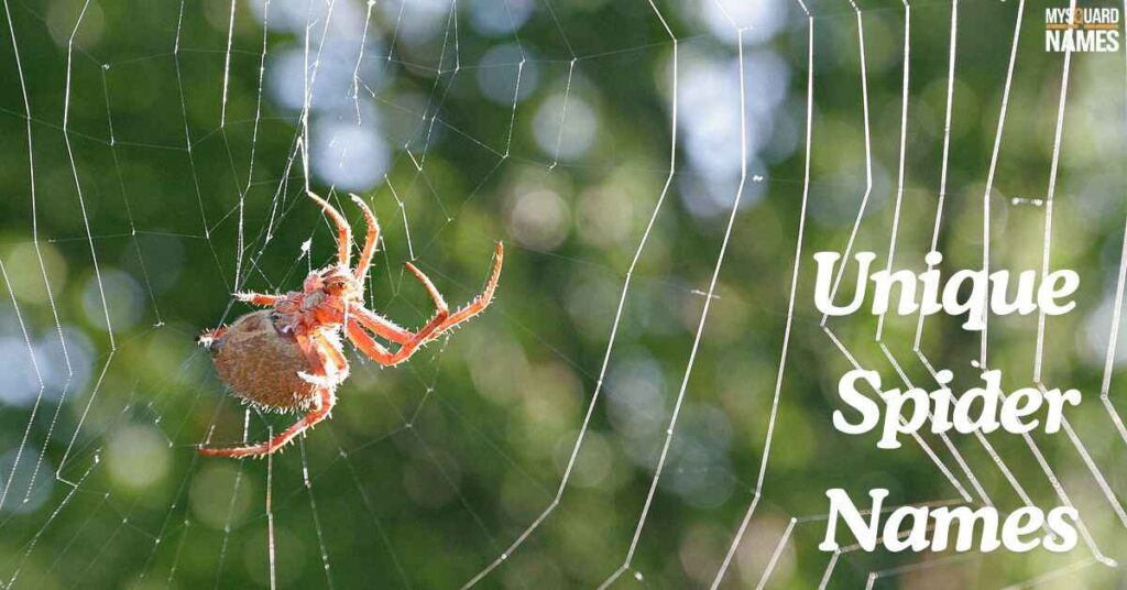 Unique Spider Names