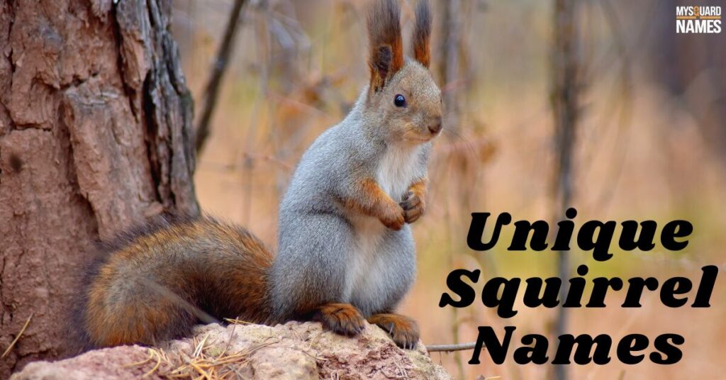 Unique Squirrel Names