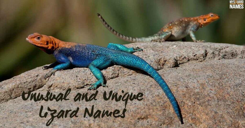 Unusual and Unique Lizard Names