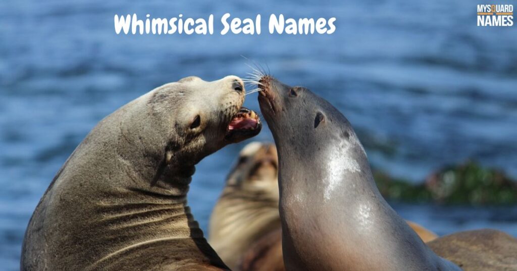 Whimsical Seal Names