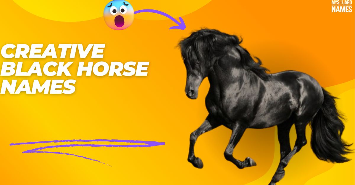 290+ Creative Black Horse Names