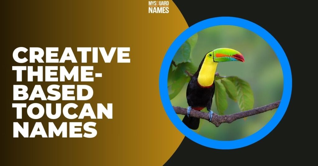 Creative Theme-Based Toucan Names