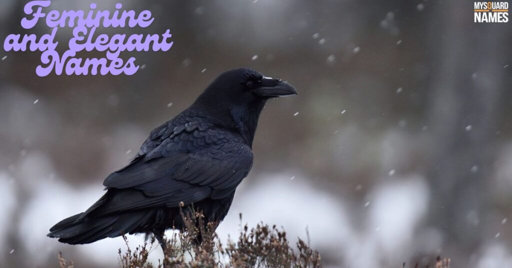 Feminine and Elegant Names