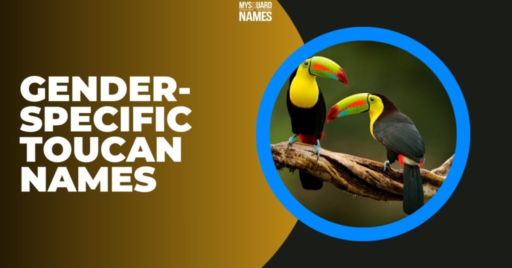 Gender-Specific Toucan Names
