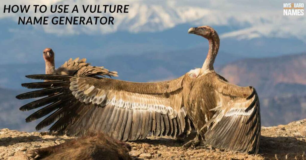 How to Use a Vulture Name Generator