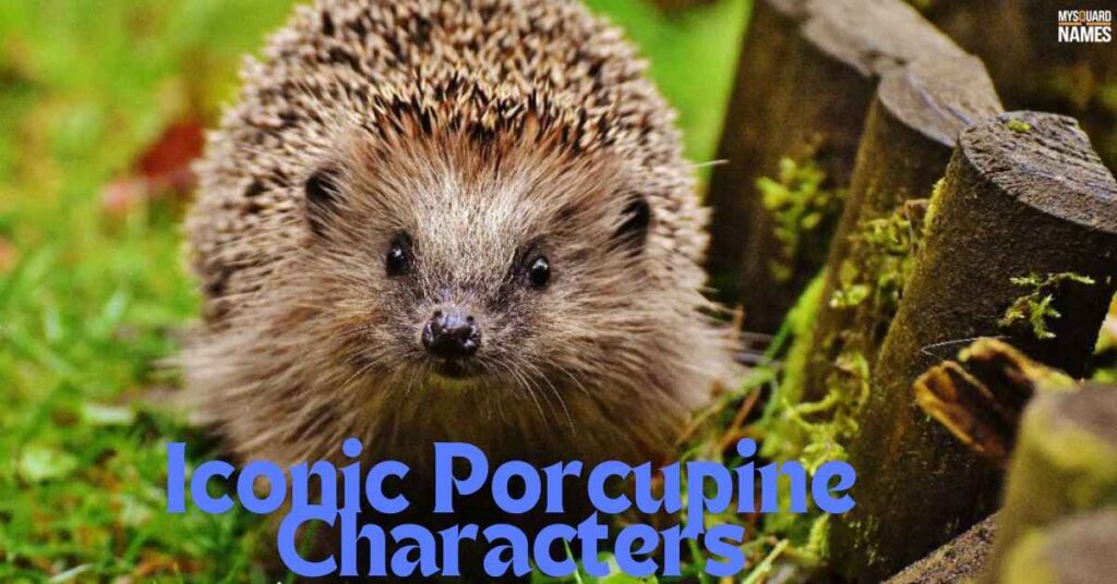 Iconic Porcupine Characters