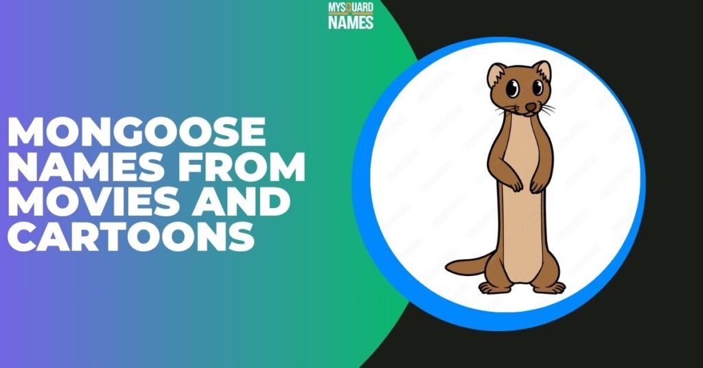 Mongoose Names from Movies and Cartoons