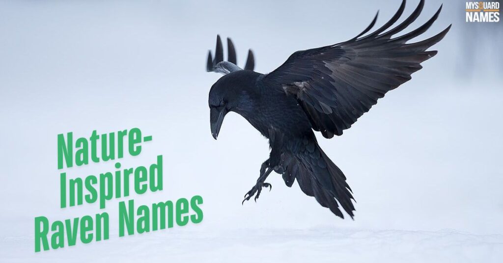 Nature-Inspired Raven Names