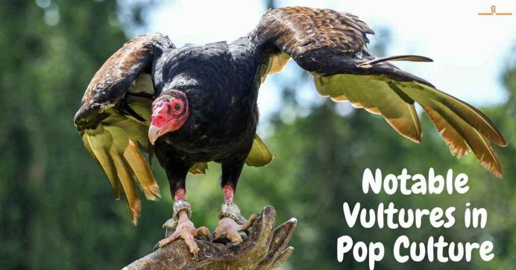 Notable Vultures in Pop Culture