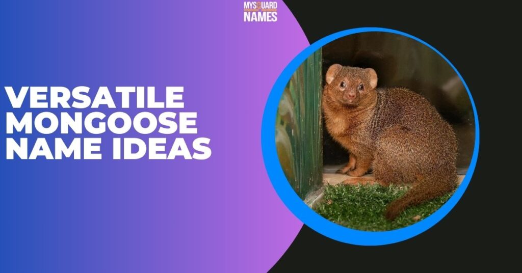 Versatile Mongoose Name Ideas